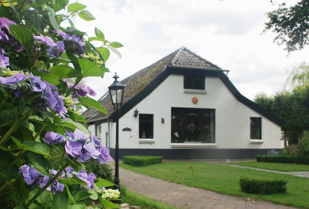 Bed&Breakfast 'T Eikeltje Hollandscheveld Extérieur photo